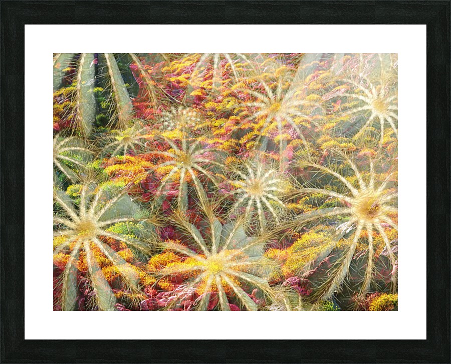 Joyful Spiders Picture Frame print