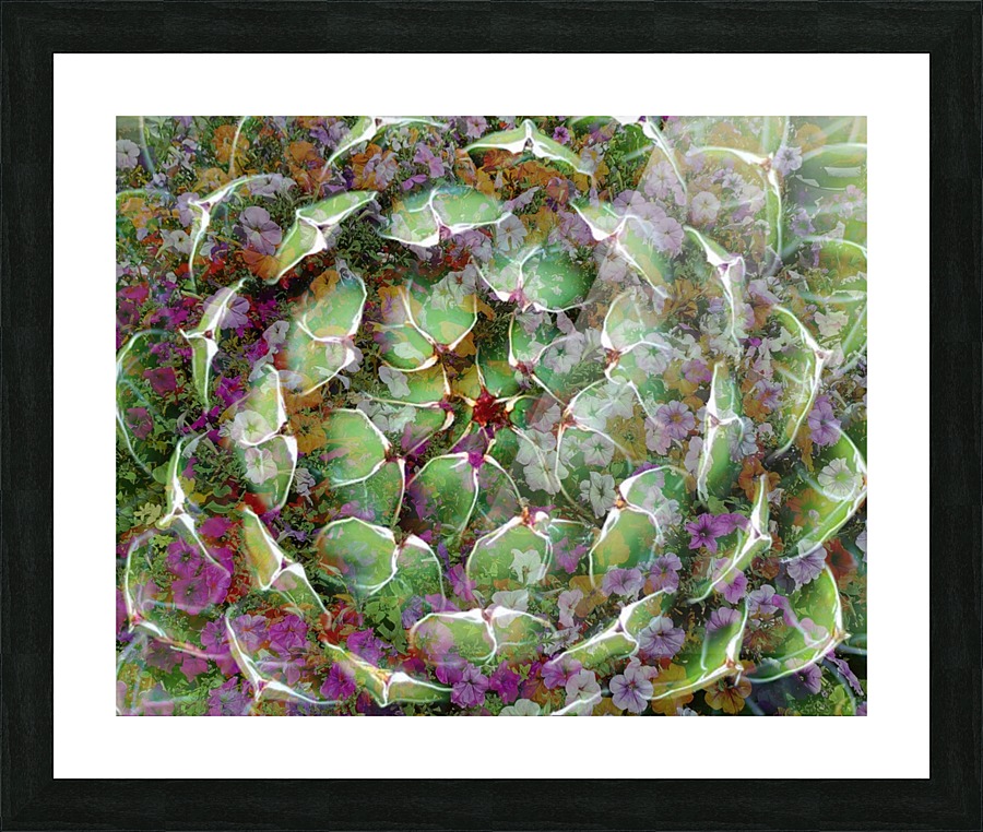 Artichoke Patch Picture Frame print