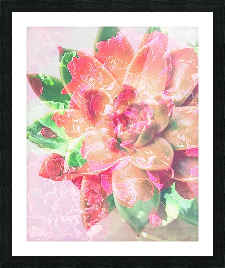 Dancing Petals Picture Frame print