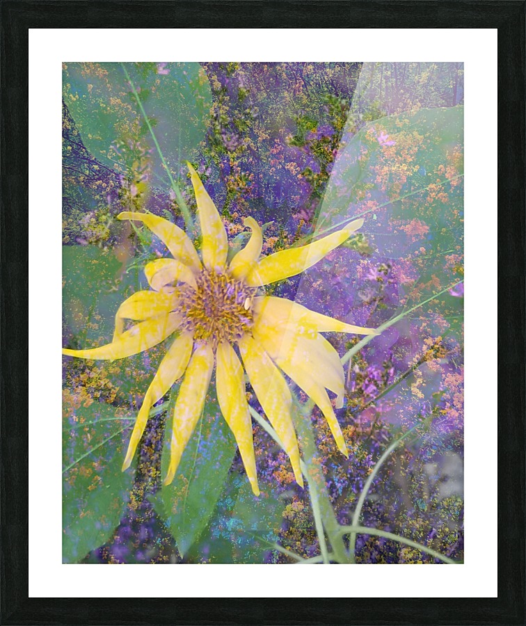 Lonely Blossom  Picture Frame print