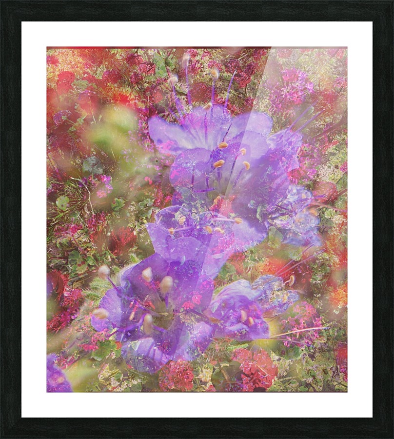 Purple Glory Picture Frame print