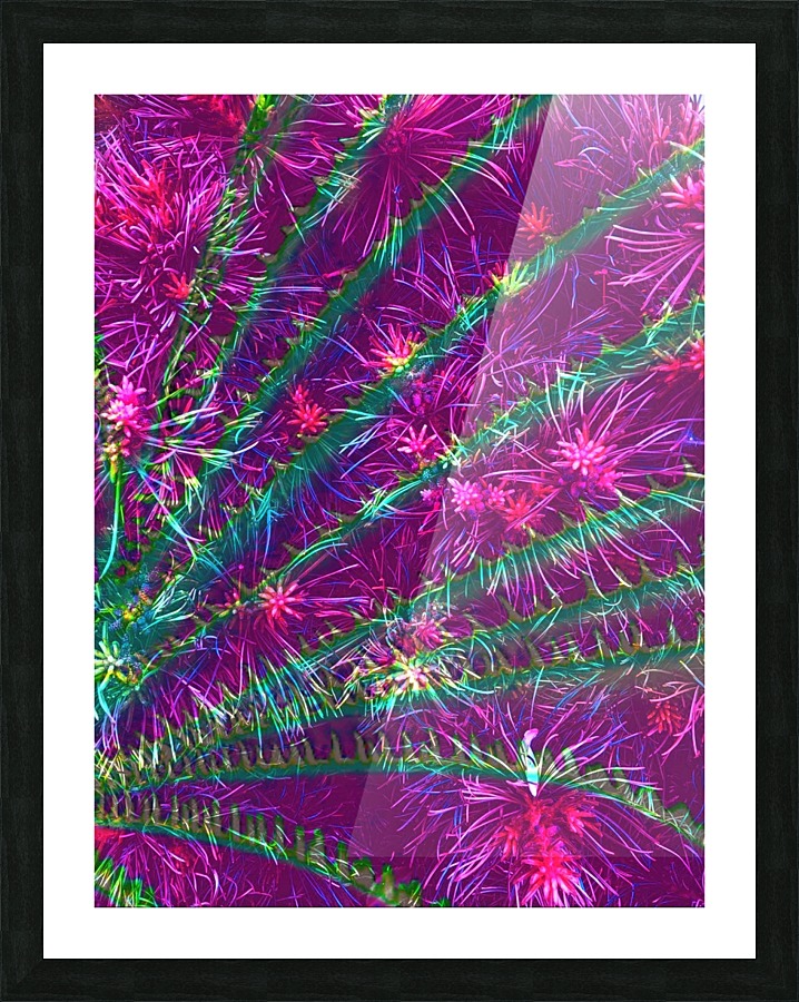 Elegant Fan Picture Frame print