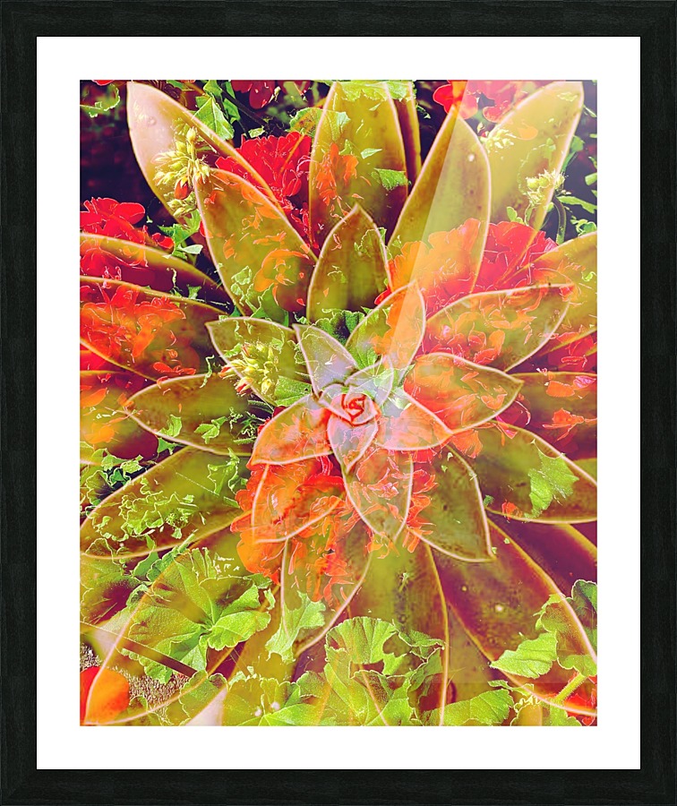 Desert Design Picture Frame print