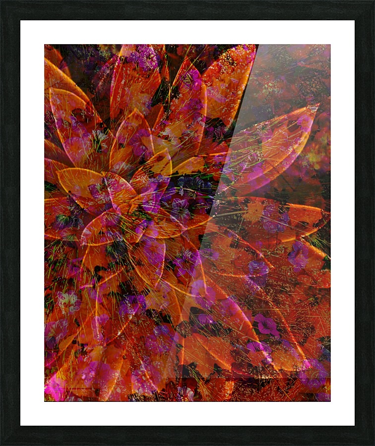 Desert Star Picture Frame print