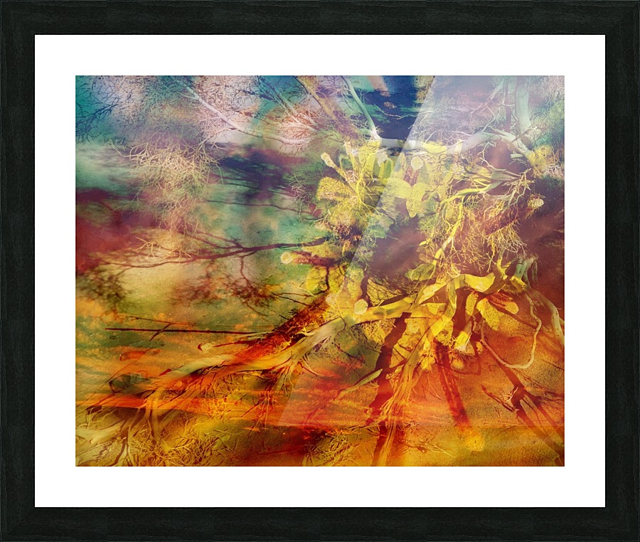 Desert Breeze Picture Frame print