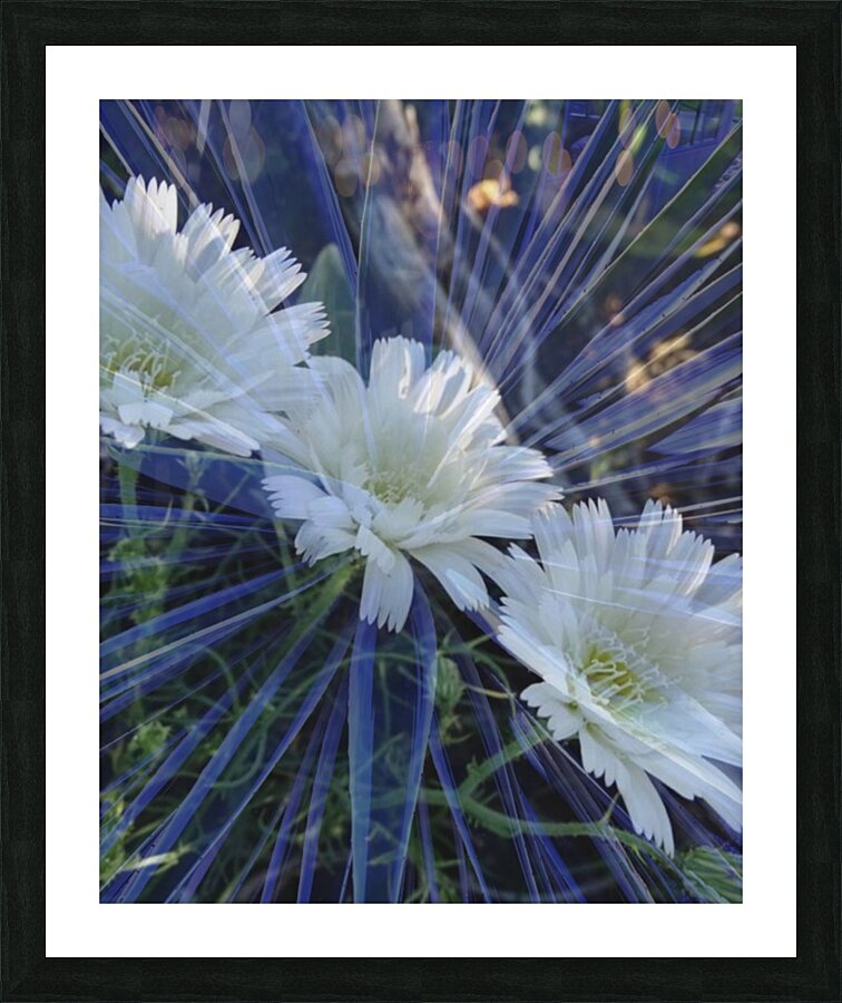 Triple Treat Picture Frame print
