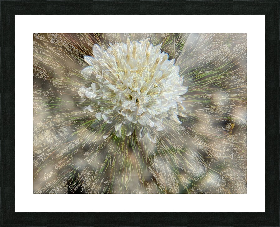 Desert Puff Picture Frame print