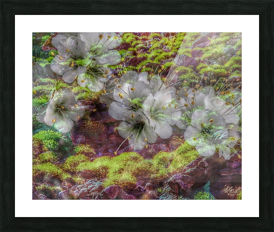 Floating Along Picture Frame print