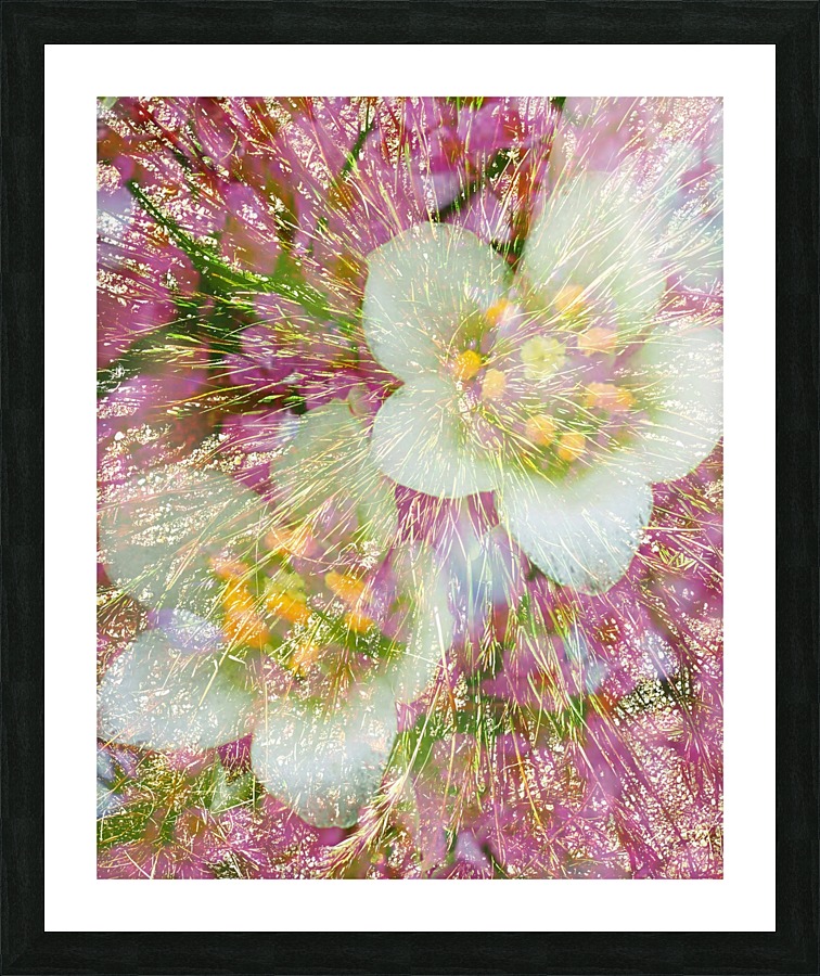 Soft Rain Picture Frame print