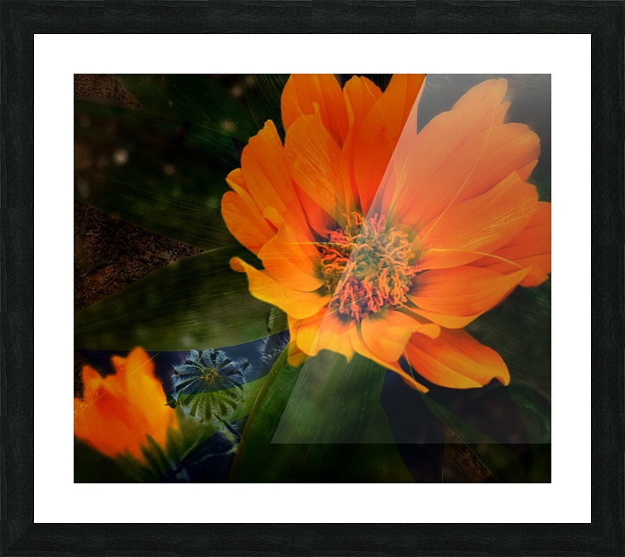 Awake Picture Frame print