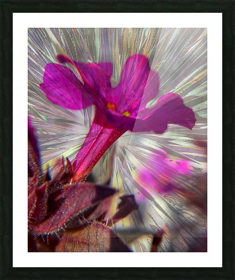 Trumpet Picture Frame print
