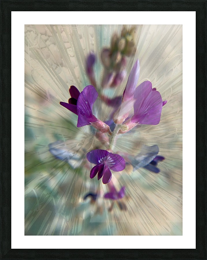 Delicate Hope Picture Frame print