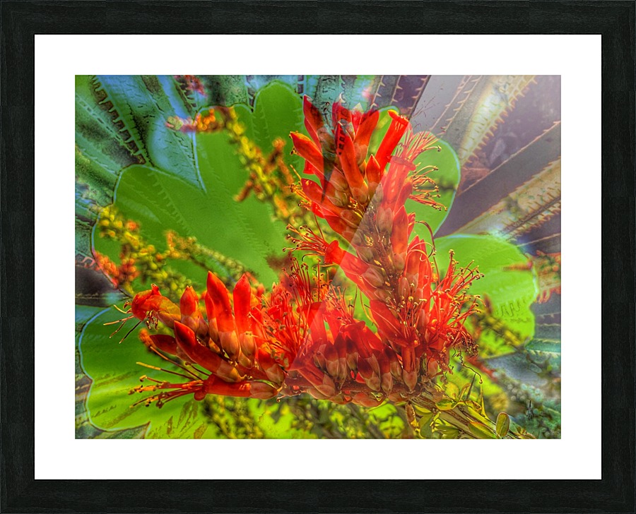 Desert Fire Picture Frame print