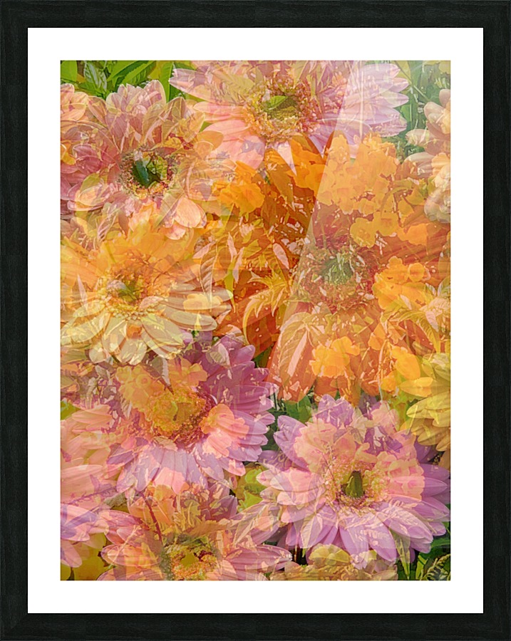 Striking Blooms Picture Frame print