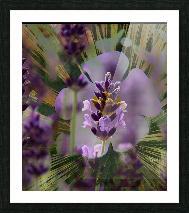 Violet Explosion Picture Frame print