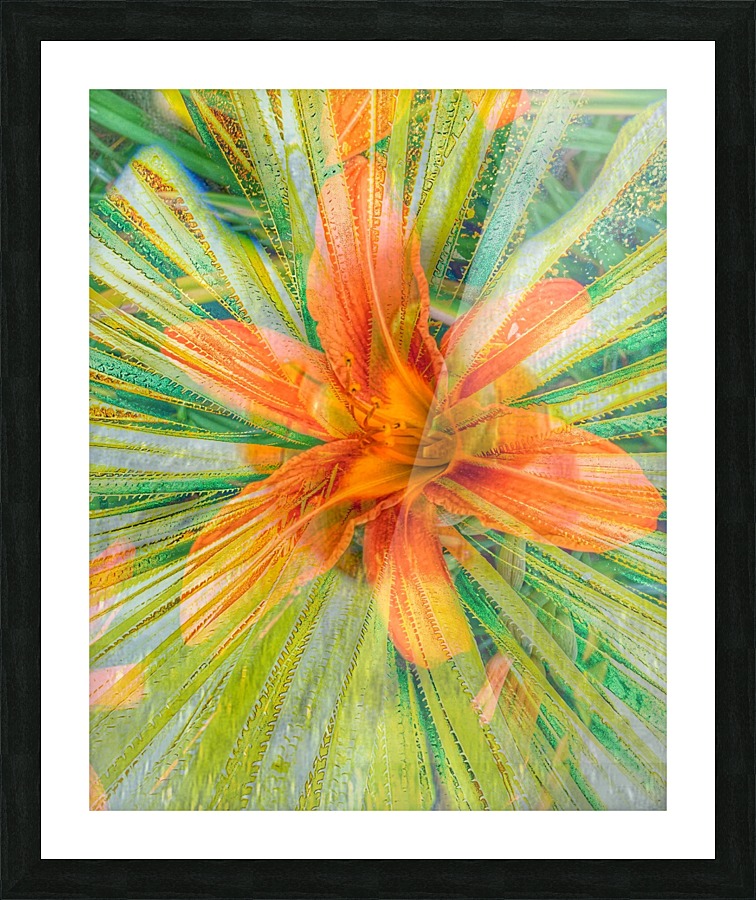 Orange Surprise Picture Frame print
