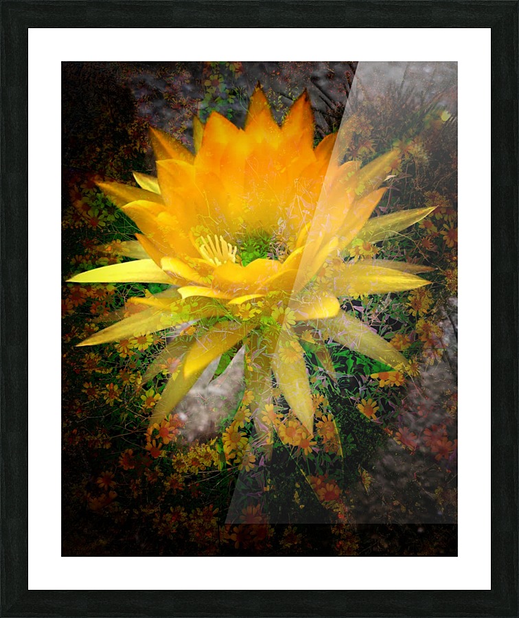 Sunshine Picture Frame print