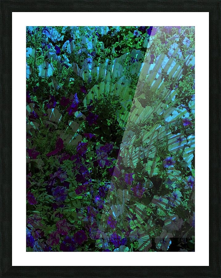Purple Fan Picture Frame print