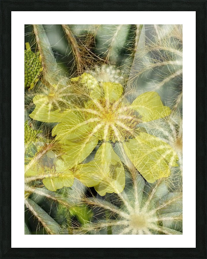 Lemon Spider Picture Frame print