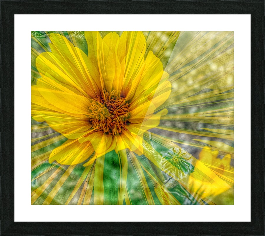 Lemon Spritz Picture Frame print