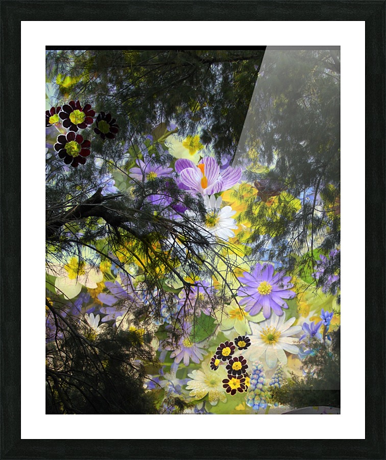 Wildly Fun Picture Frame print