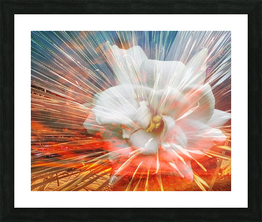 Blazing Charm Picture Frame print
