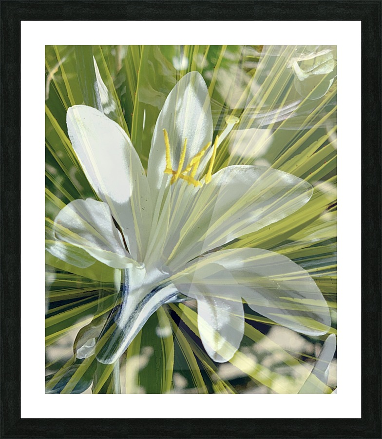 Open Joy Picture Frame print