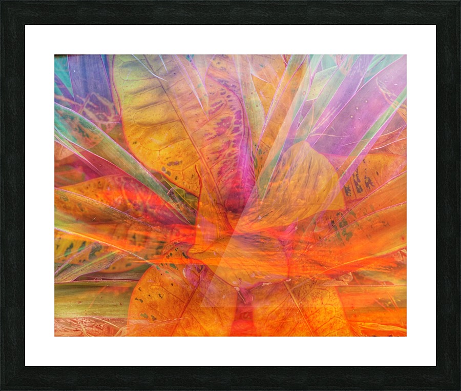 Dramatic Sunset Picture Frame print
