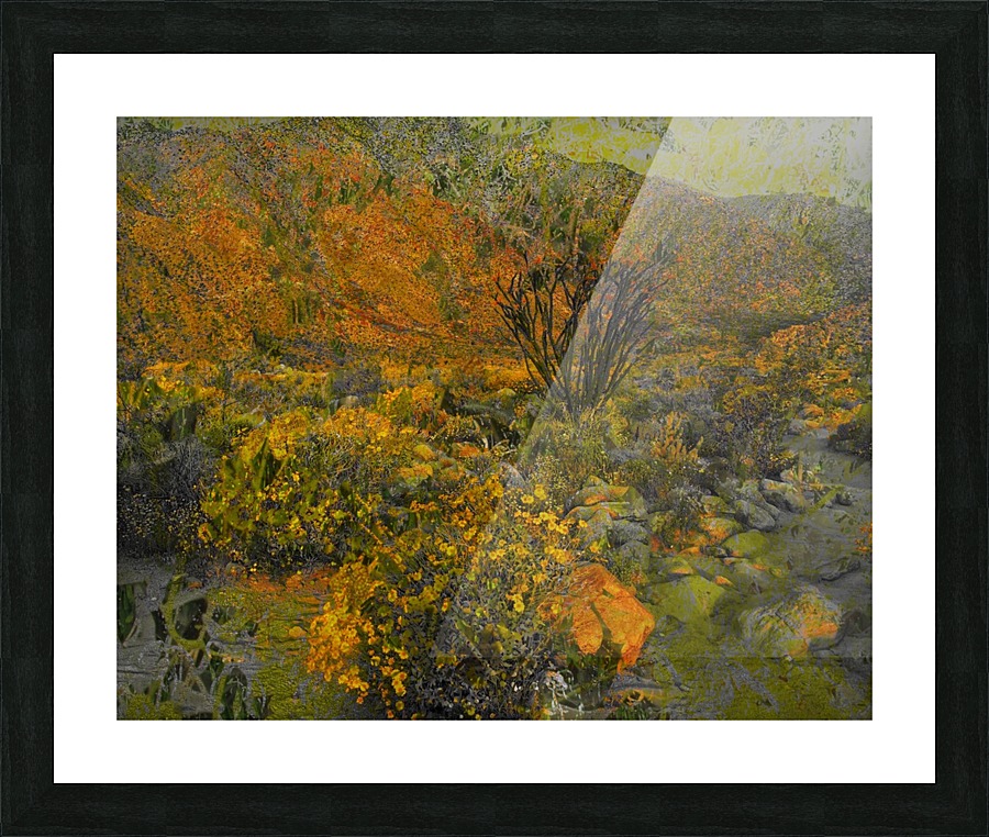 Desert Splendor  Picture Frame print