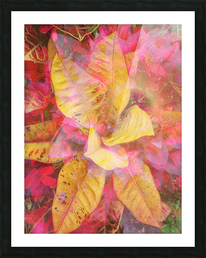 Amazing Pinwheel  Picture Frame print