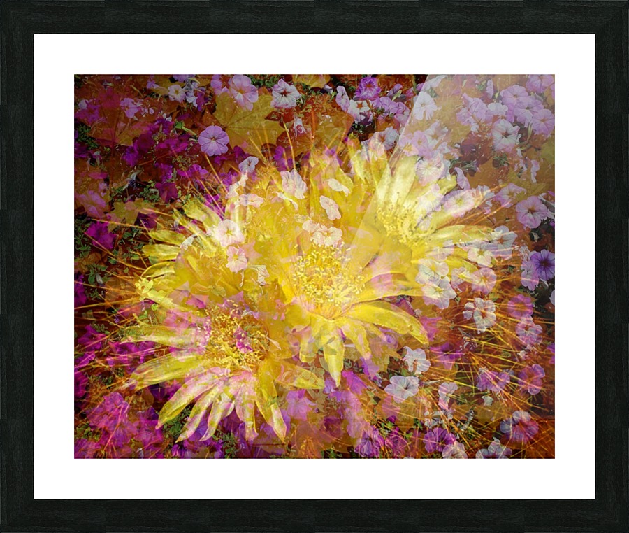 Playful Meadow Picture Frame print