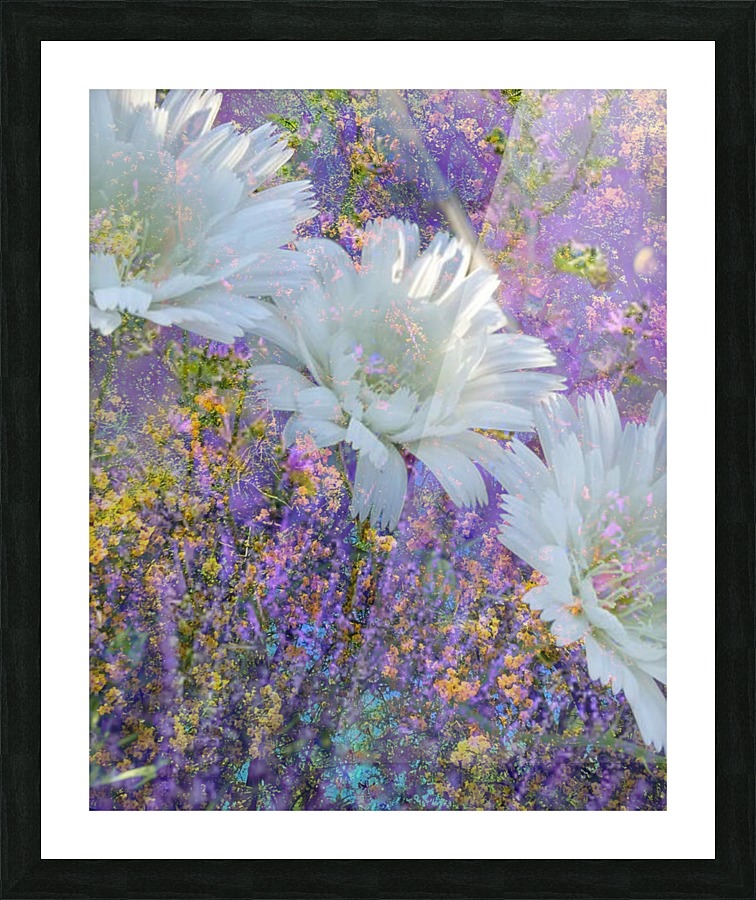 Garden Delight Picture Frame print