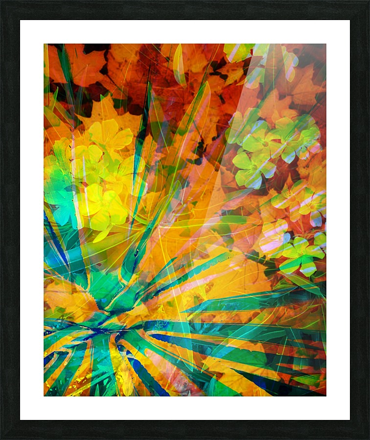 Color Burst Picture Frame print