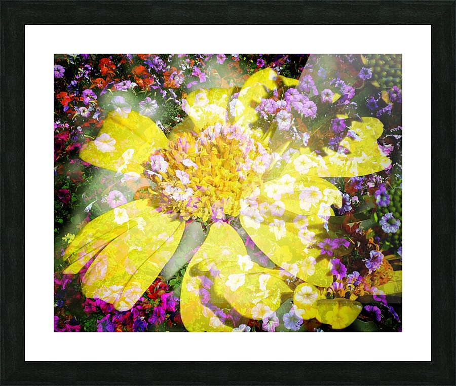 Lemon Rain Picture Frame print