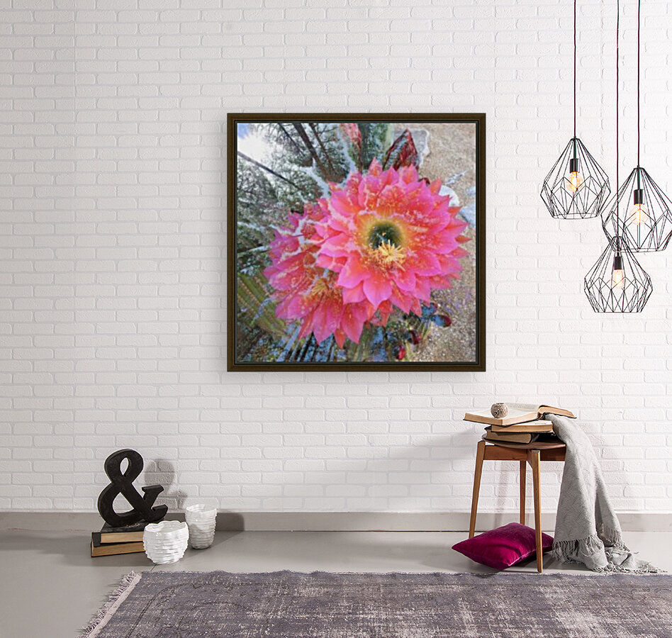 Snowy Pink Reproduction