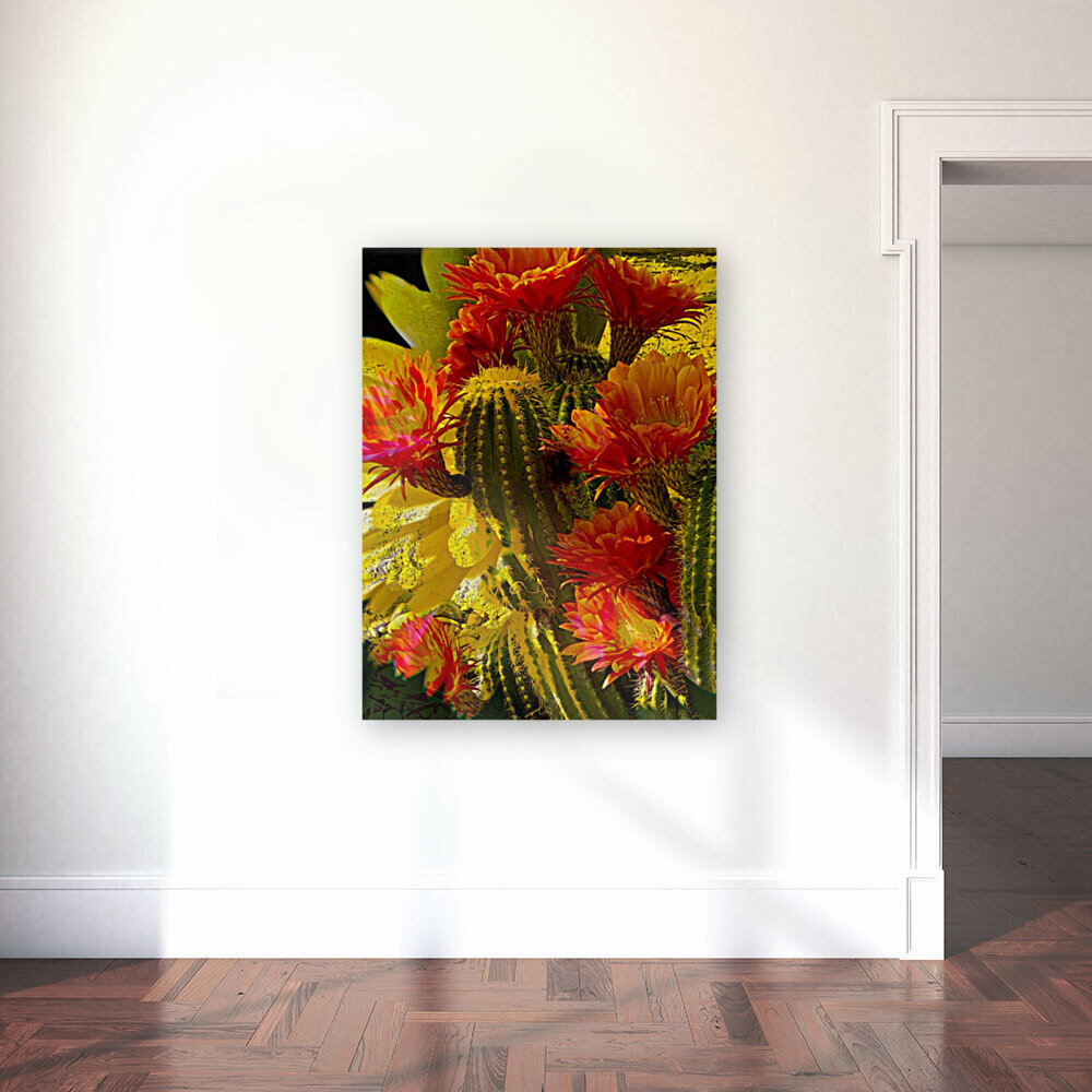 Orange Glory Reproduction