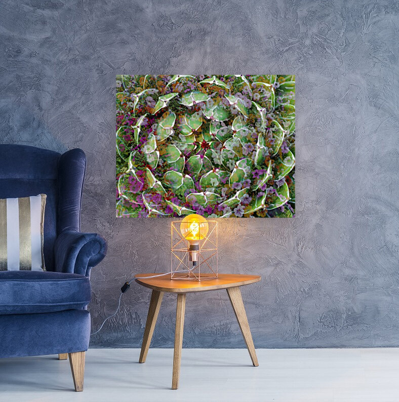 Artichoke Patch Reproduction