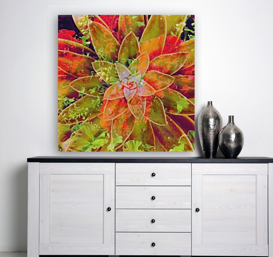 Desert Design Reproduction
