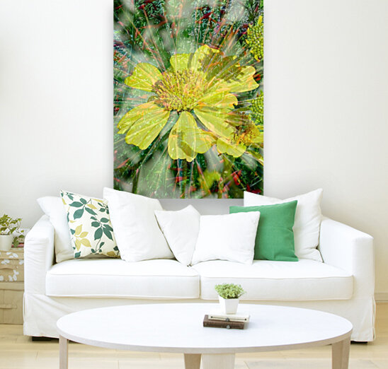 Lemon Shine Reproduction