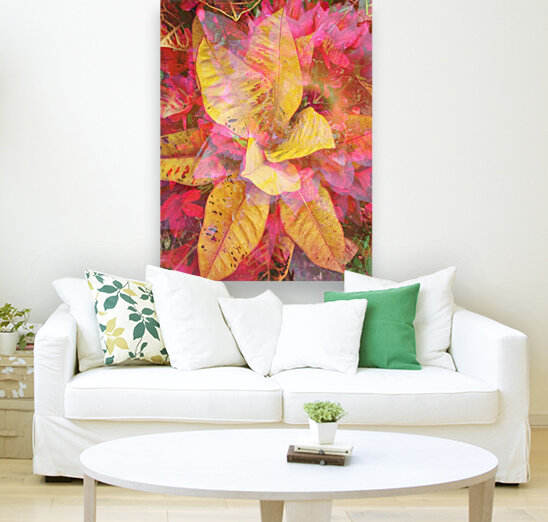 Amazing Pinwheel  Reproduction