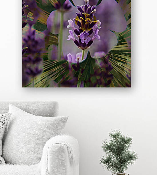 Violet Explosion by Grammydudley