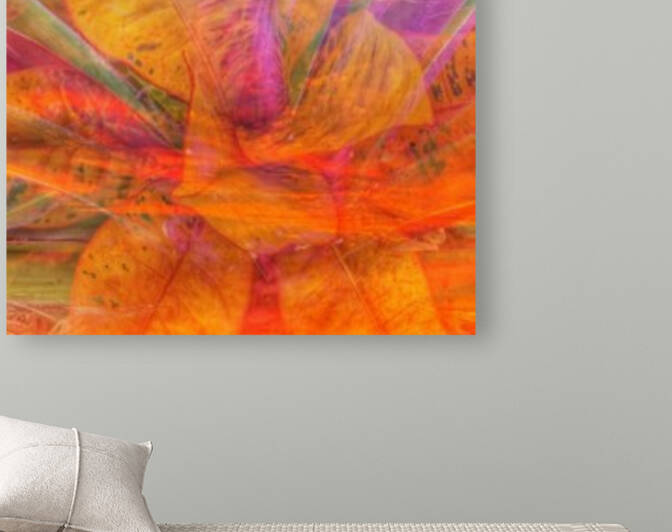 Dramatic Sunset Reproduction