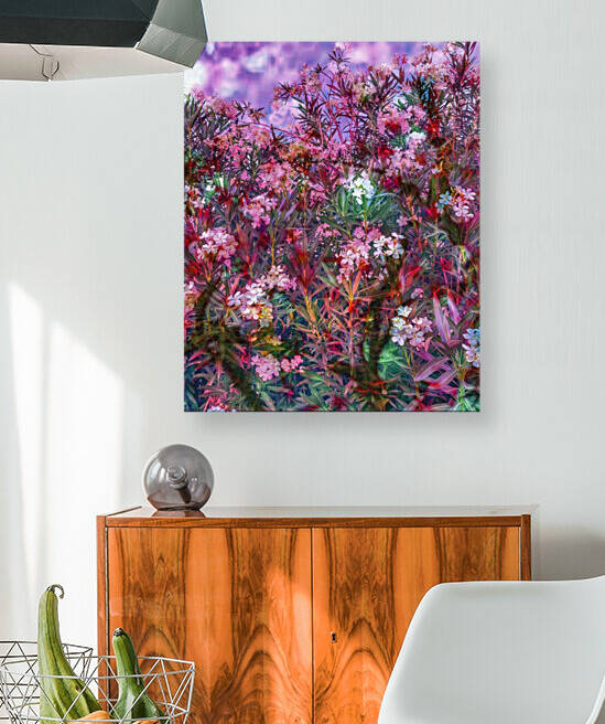 Lavender Retreat by Grammydudley