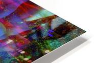 Showy Bloom HD Metal print