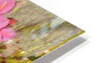 Pastel Rays HD Metal print