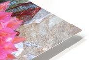 Snowy Pink HD Metal print
