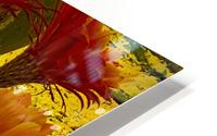 Orange Glory HD Metal print