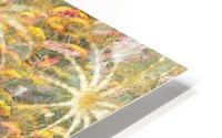 Joyful Spiders HD Metal print