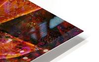 Desert Star HD Metal print