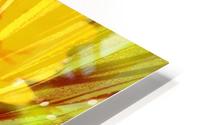 Sunrise Burst HD Metal print